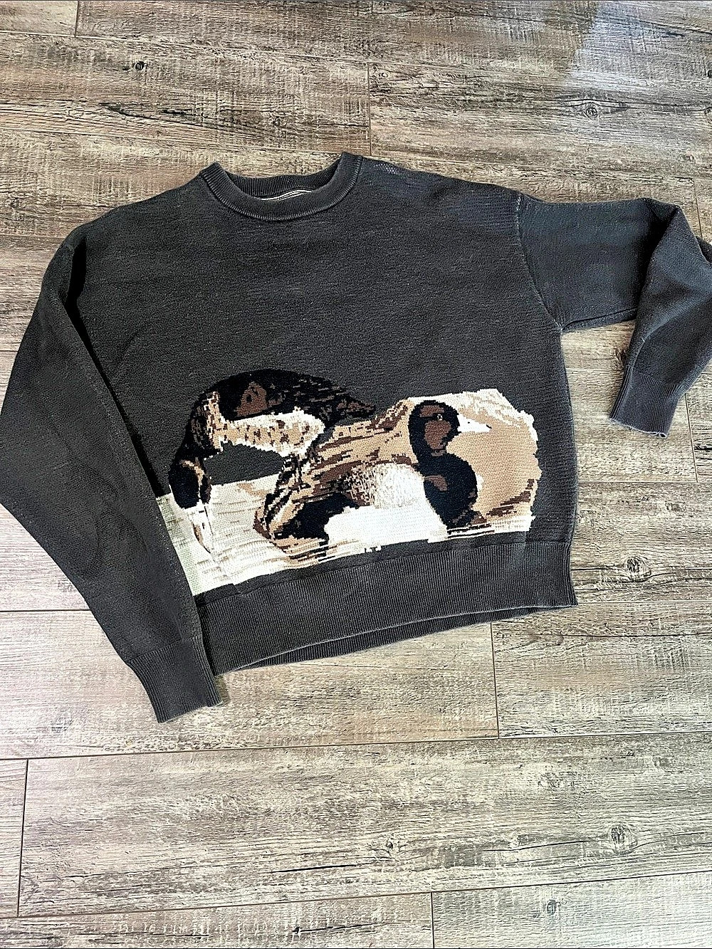 PacSun Duck Knit Sweater Graphic Crewneck Size Medium